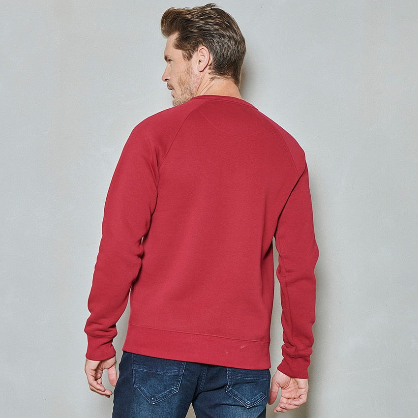 Men sweater crew raglan print | Rhubarb