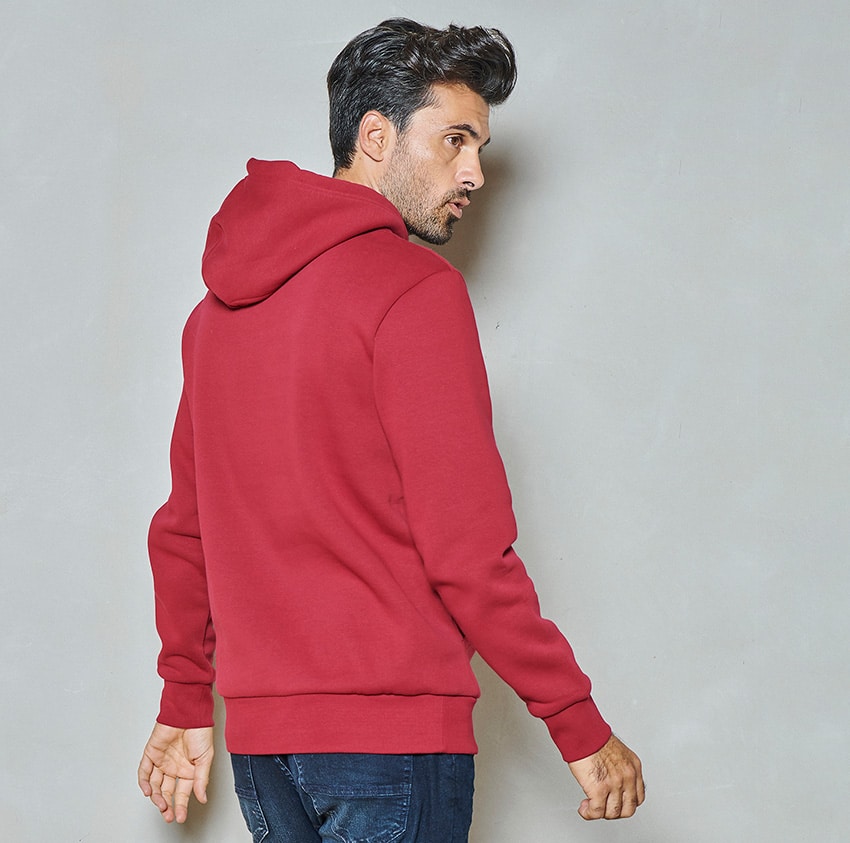 Men sweater hoody | Rhubarb