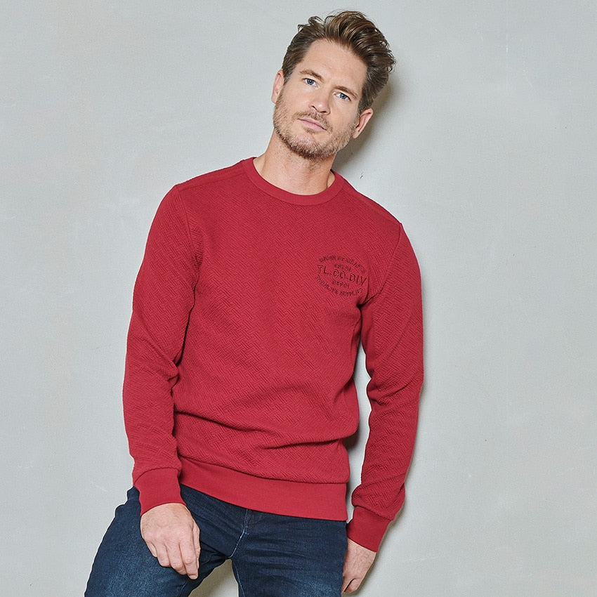 Men sweater crew jaquard | Rhubarb